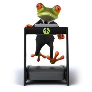 Fitness Accessories Thumbnail